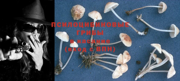 PSILOCYBIN Бронницы